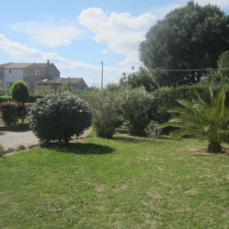 Apartamento Studio Avec Piscine Sur 3000 Metres De Terrain Marcorignan Exterior foto